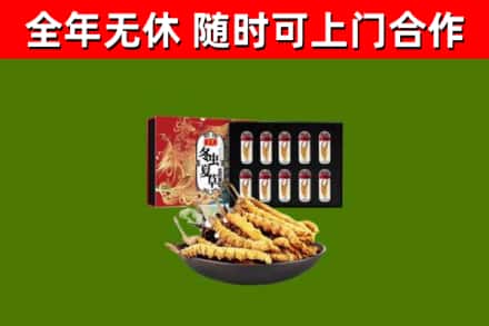 黄冈烟酒回收冬虫夏草礼盒.jpg